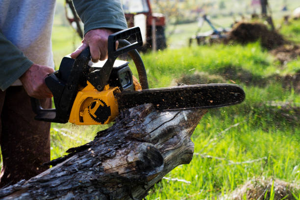 Best Soil Testing and Treatment  in Johnstown, PA